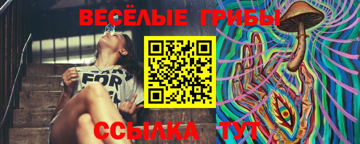 Галлюциногенные грибы MAGIC MUSHROOMS  Апатиты 