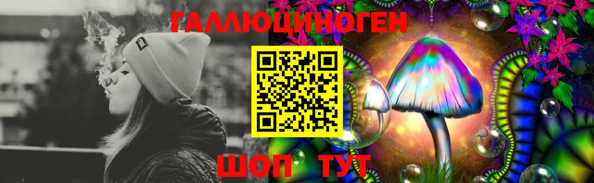 Псилоцибиновые грибы мицелий Апатиты