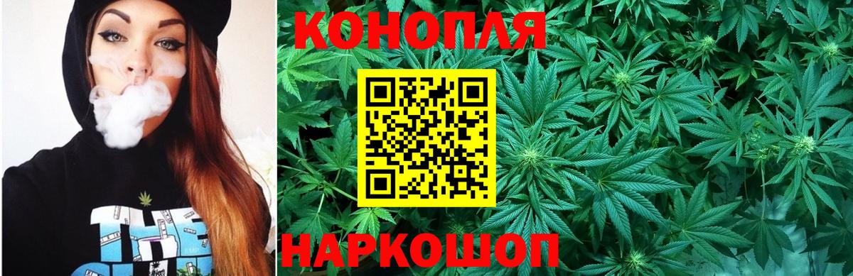 МАРИХУАНА Amnesia  Апатиты  Канабис семена  Марихуана OG Kush 